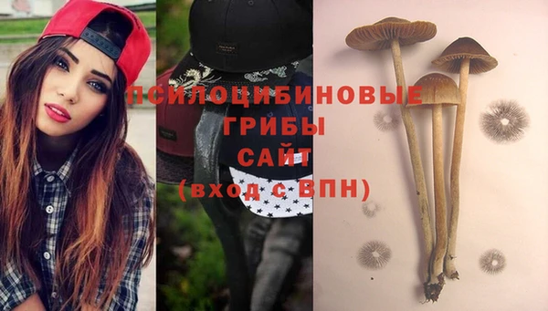 гидропоника Абаза