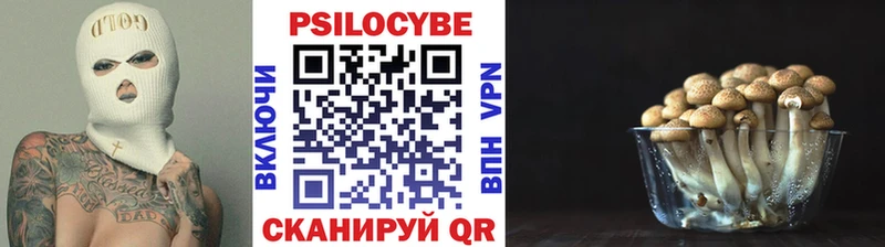 Псилоцибиновые грибы прущие грибы как найти наркотики blacksprut ссылки Ессентукская